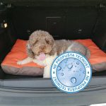 Ležaj za ljubimce Memoform My Dog memory foam - Slika 3